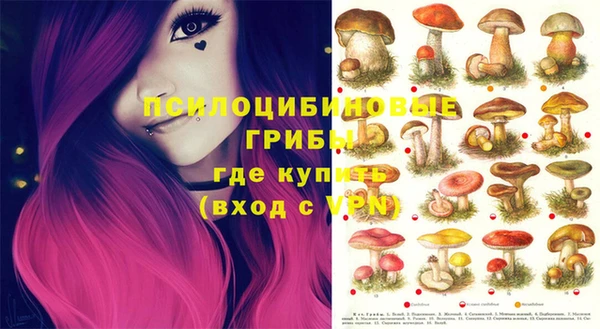 PSILOCYBIN Дмитровск