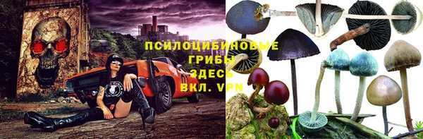 PSILOCYBIN Дмитровск